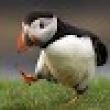 Avatar for Alex U from gravatar.com