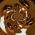 Avatar for Paszymaja from gravatar.com
