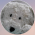 Avatar for aslucki from gravatar.com
