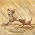 Avatar for icyrainz from gravatar.com