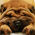 Avatar for ckeyer from gravatar.com
