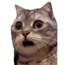Avatar for shinaji from gravatar.com