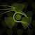 Avatar for hridaykeswani from gravatar.com