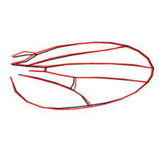 Avatar for Will Pitchers from gravatar.com