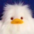 Avatar for gpchn from gravatar.com