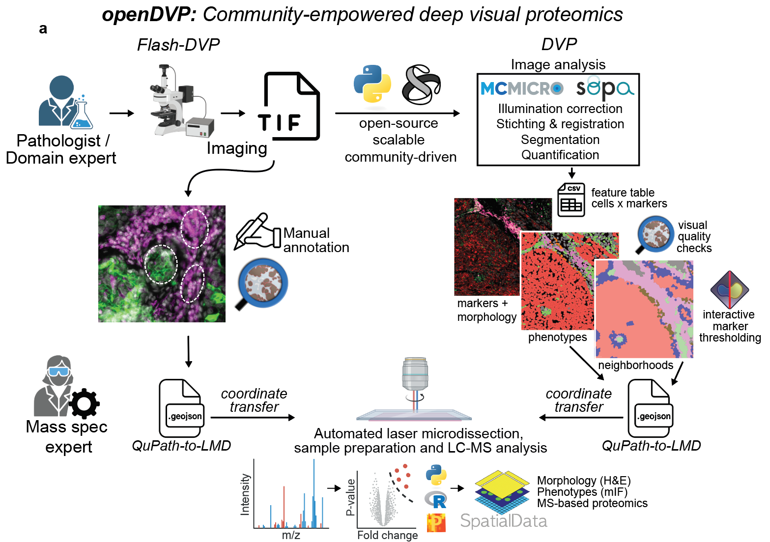 Screenshot 2025-06-17 at 11 43 44