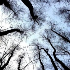 Avatar for Yann Büchau from gravatar.com