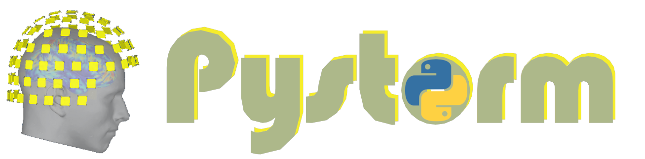 Pystorm logo