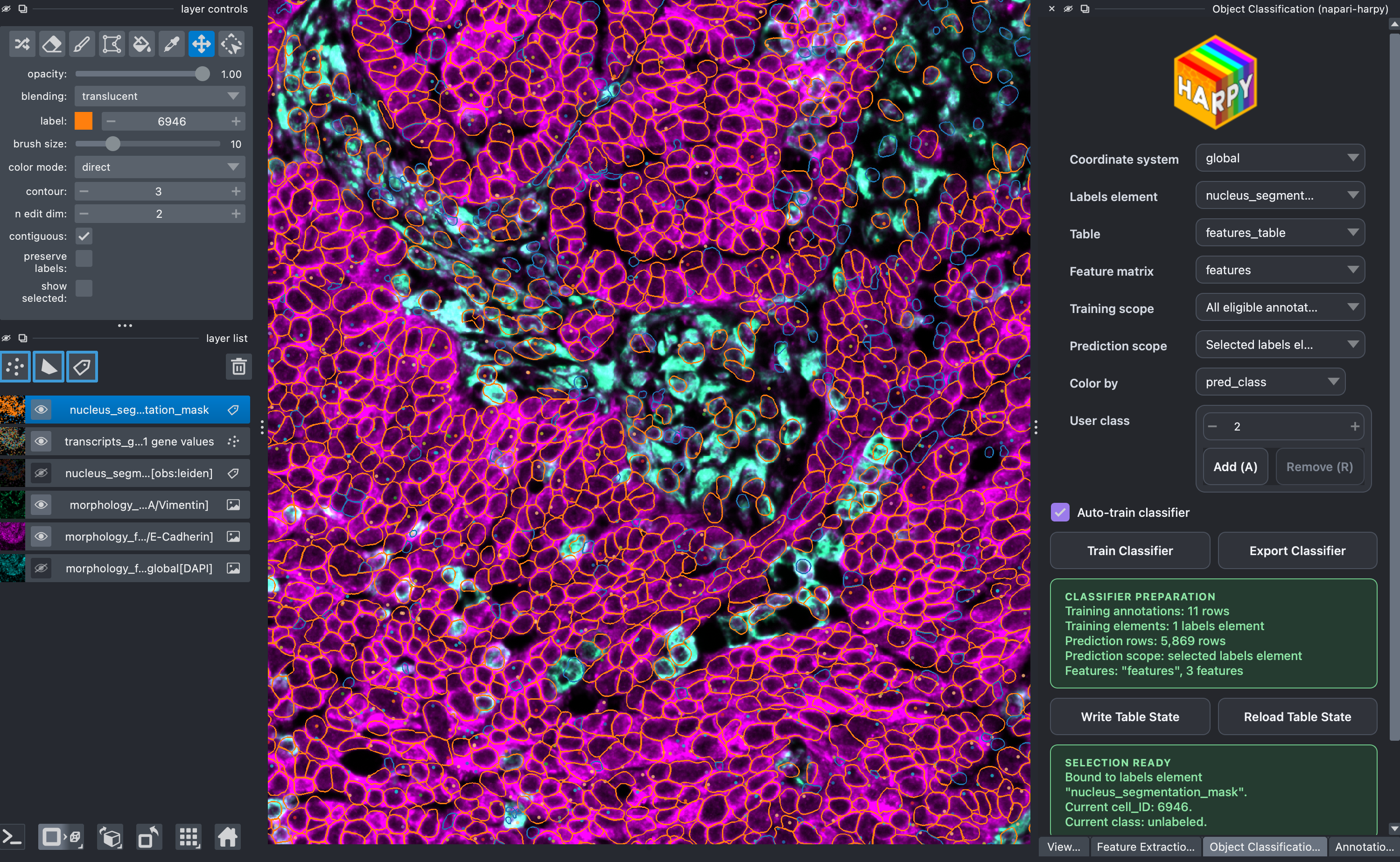 napari-harpy object classification example screenshot