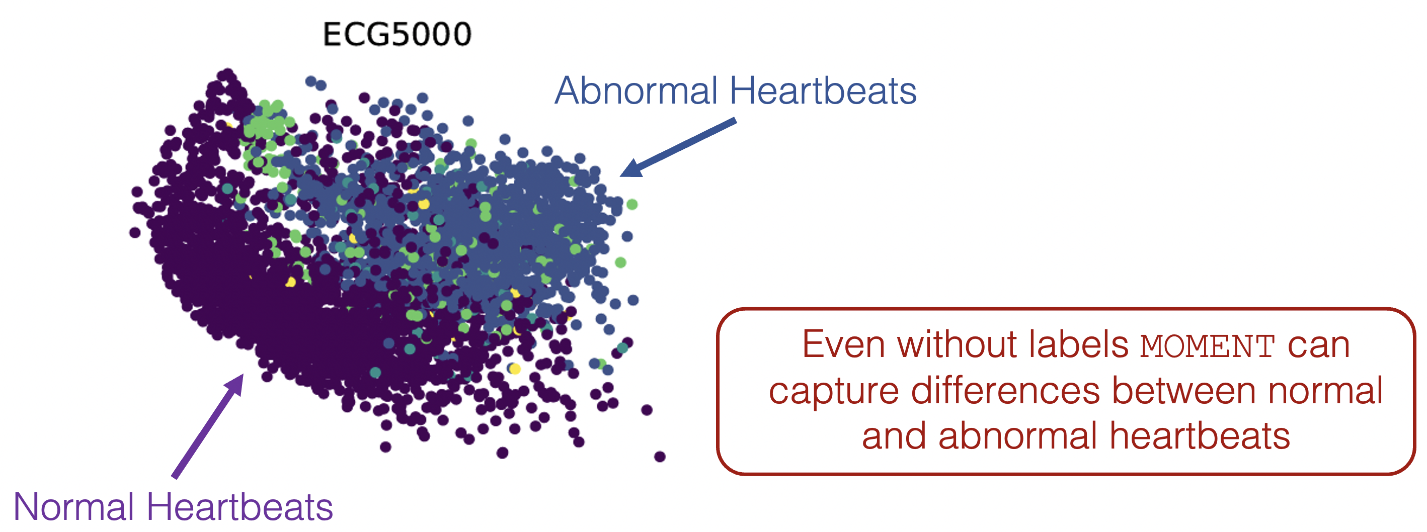 MOMENT Learns Meaningful Representation of Data