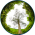 Avatar for azvoleff from gravatar.com