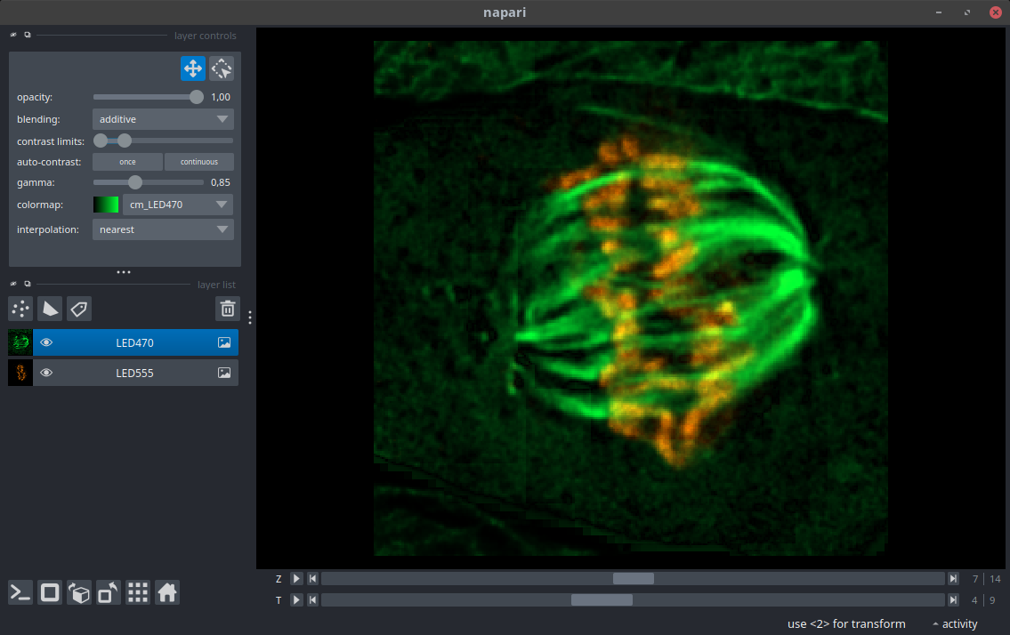 5D CZI inside Napari