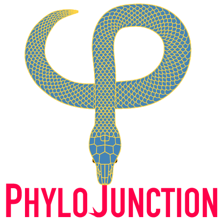 https://raw.githubusercontent.com/fkmendes/PhyloJunction/main/docs/source/images/pj_logo_github.png?sanitize=true