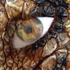 Avatar for Jakub Kuderski from gravatar.com