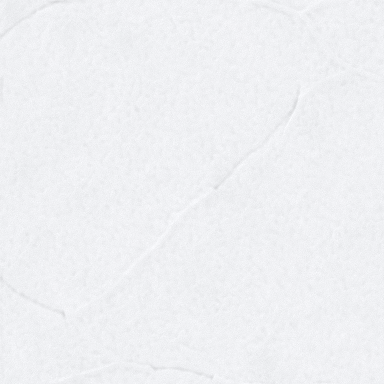 White paper texture