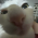 Avatar for AvicAcid from gravatar.com