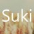 Avatar for SukiCZ from gravatar.com