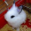 Avatar for jimklimov from gravatar.com