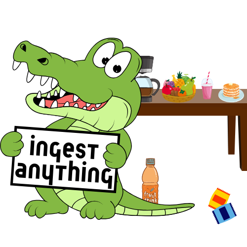 Ingest-Anything Logo