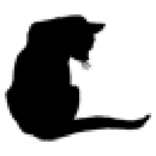 Avatar for Leo Bi from gravatar.com