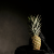 Avatar for Kaper365 from gravatar.com