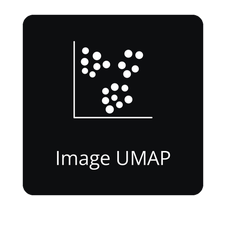 Open the Image UMAP API