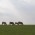 Avatar for willogden from gravatar.com