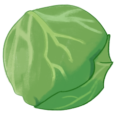 Avatar for Rayton Chen from gravatar.com
