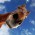 Avatar for searope from gravatar.com
