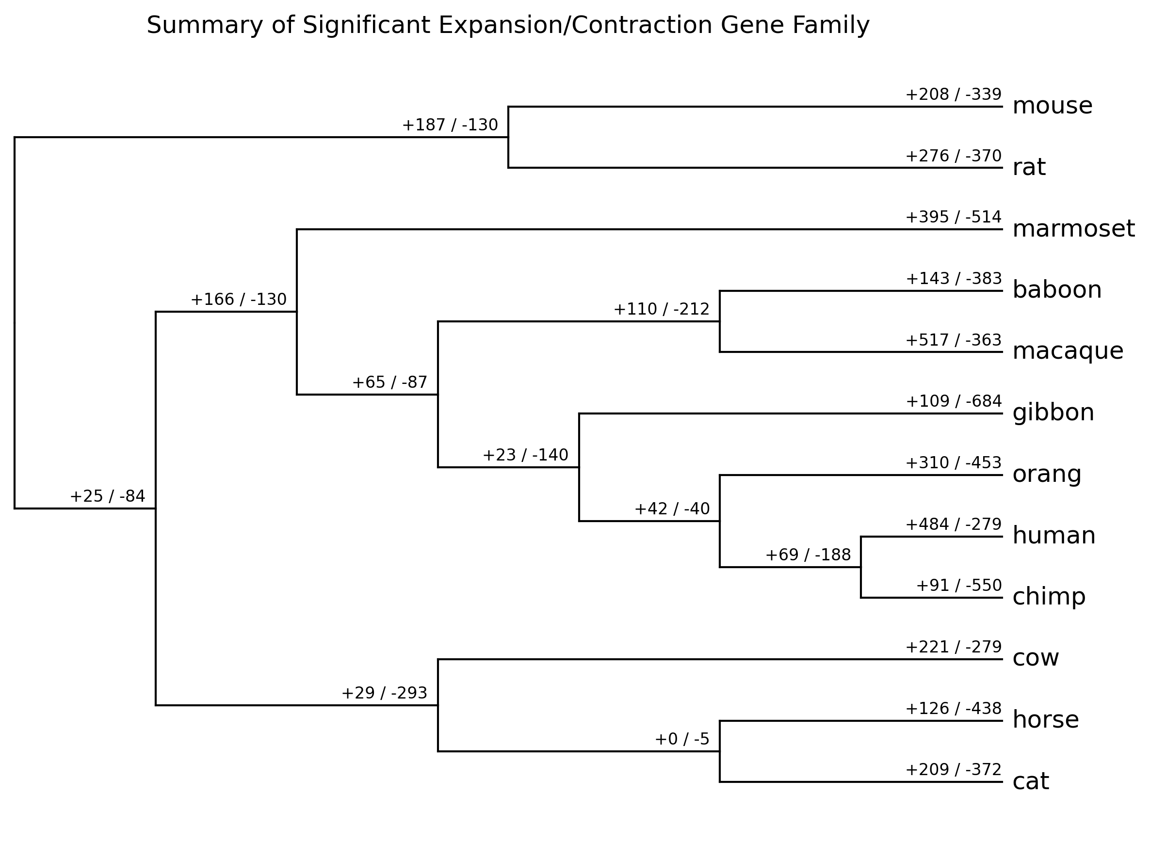summary_significant_gene_family.png