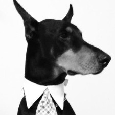 Avatar for Steven from gravatar.com