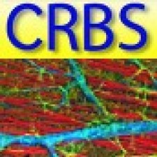 Avatar for CRBS  from gravatar.com