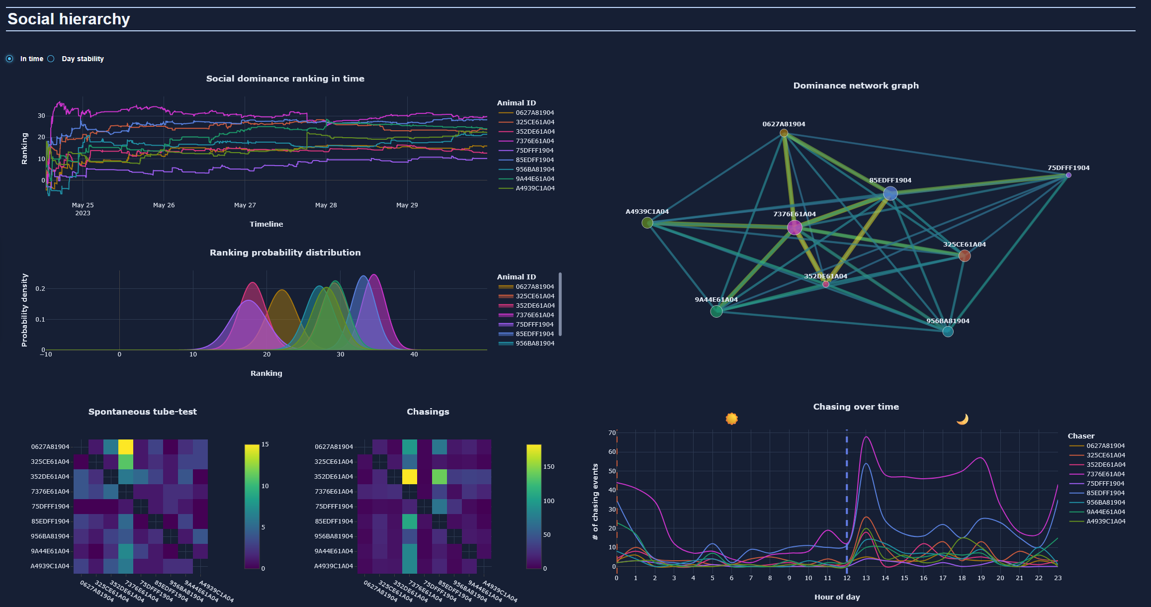 Dashboard Preview