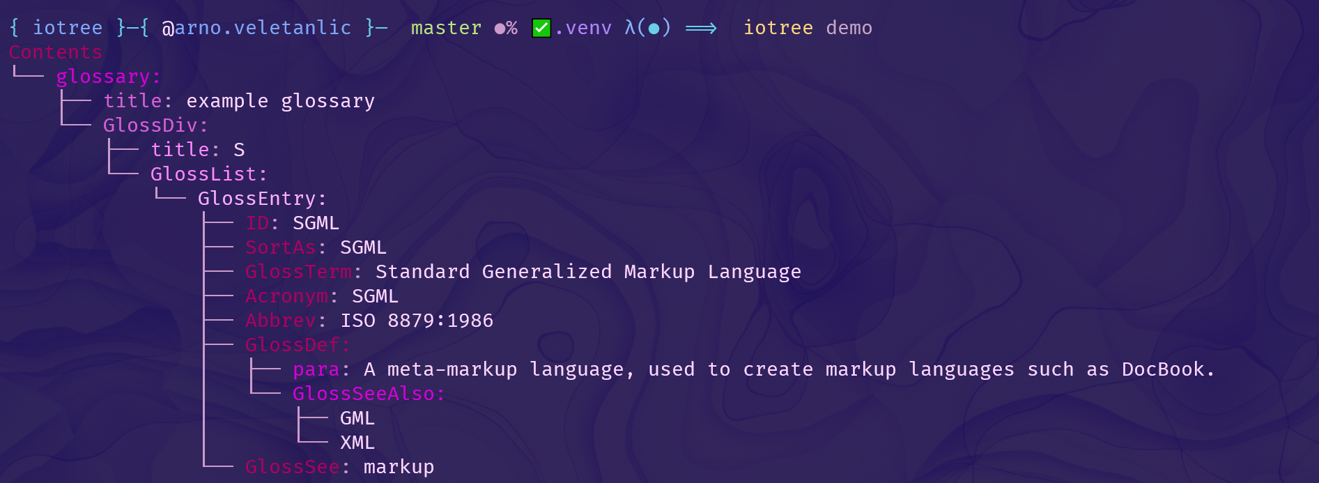 JSON file displayed