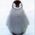 Avatar for pedrospdc from gravatar.com