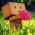 Avatar for pilliq from gravatar.com