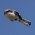 Avatar for mutineer from gravatar.com