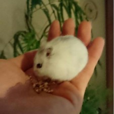 Avatar for masatoEmata from gravatar.com