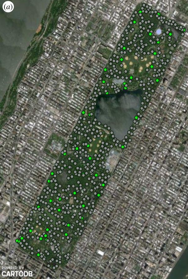 Central Park Soil Microbiome