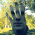 Avatar for jedwards1211 from gravatar.com