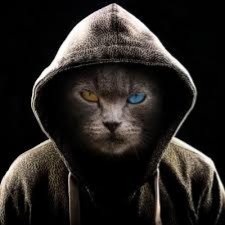 Avatar for powerfuldeveloper from gravatar.com