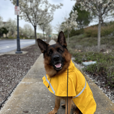 Avatar for Joshua Jerome from gravatar.com