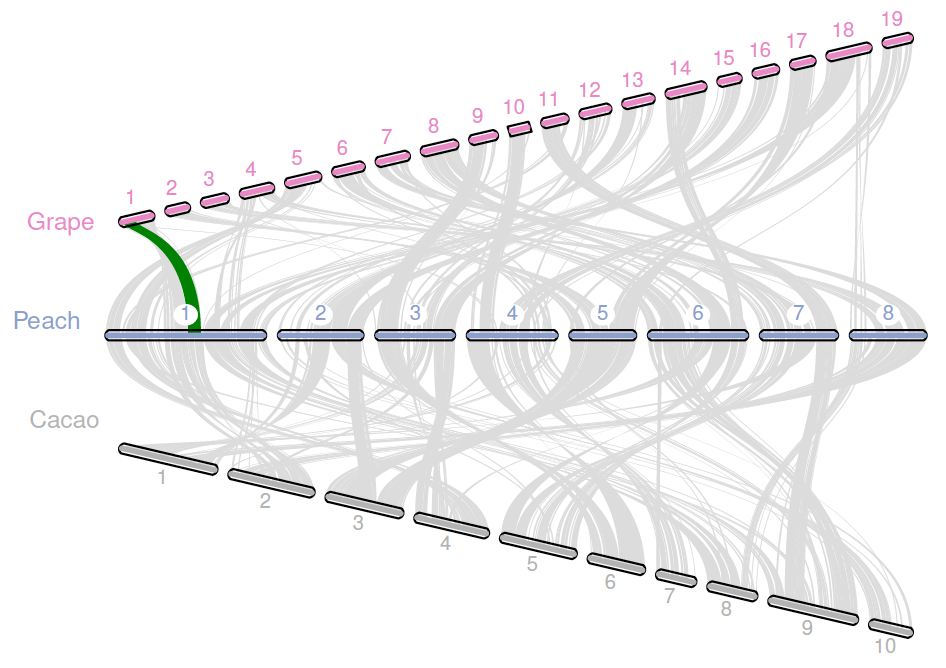 MCSCAN example