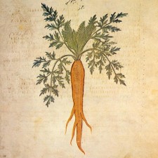 Avatar for mic_e from gravatar.com