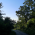 Avatar for mboot-github from gravatar.com