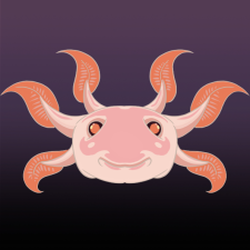Avatar for Axolotl-Logic from gravatar.com