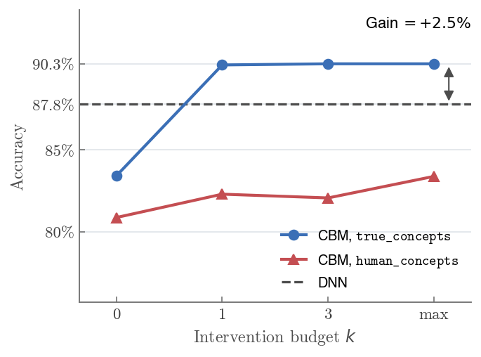 Accuracy against the intervention budget for a CBM with true and with human concepts, and the DNN, one run
