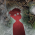 Avatar for jatwood from gravatar.com