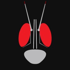 Avatar for bajahitamxx from gravatar.com