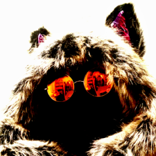 Avatar for licenseplated from gravatar.com